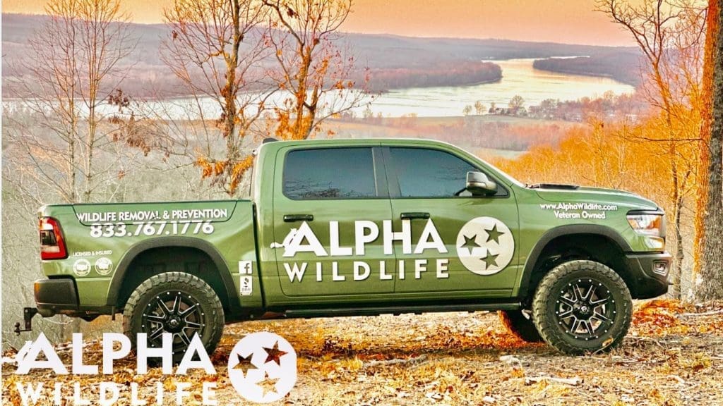 Alpha Wildlife Truck