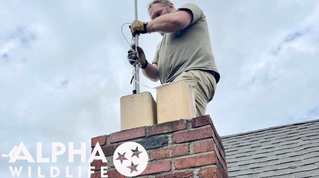 Alpha Wildlife technician installing exclusion barrier