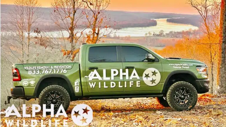 Alpha Wildlife truck