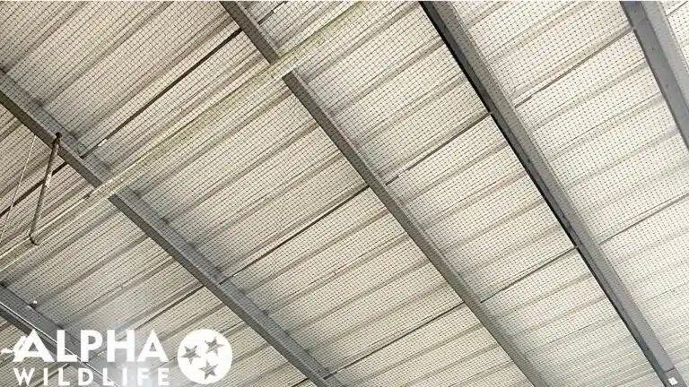 Commercial bird netting in Columbia SC