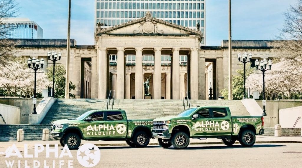 Alpha Wildlife Trucks in Downtown Nashville