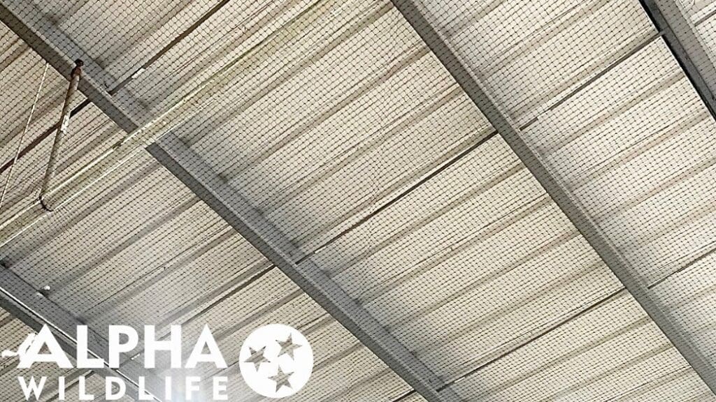 Commercial bird netting installed in building in Franklin TN