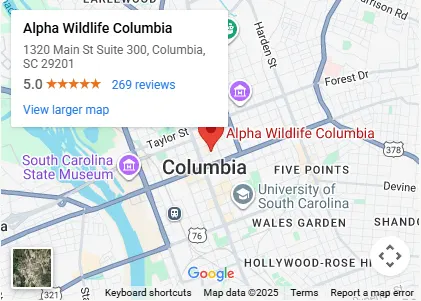 alpha wild life columbia location
