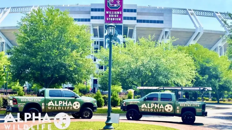 Alpha Wildlife technician providing professional wildlife removal services in Columbia, SC