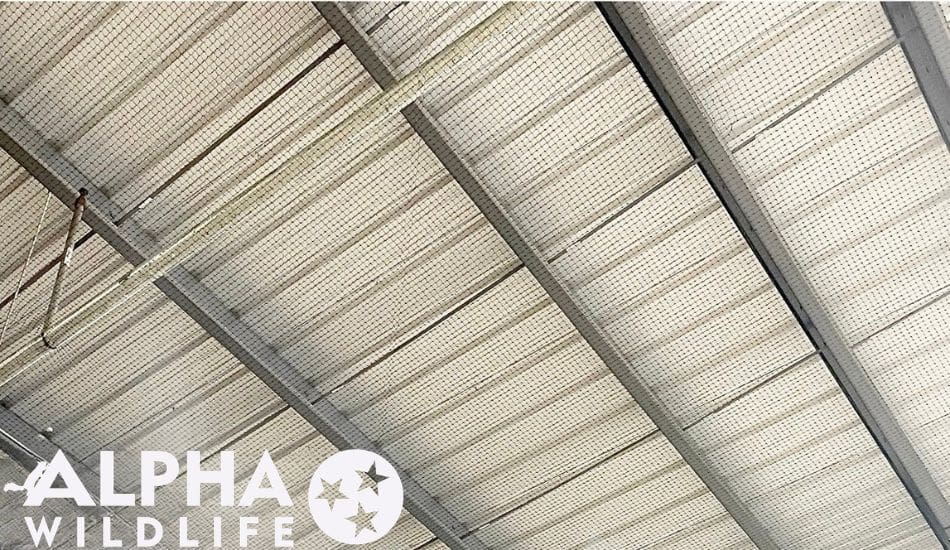 commercial bird netting in Nashville TN