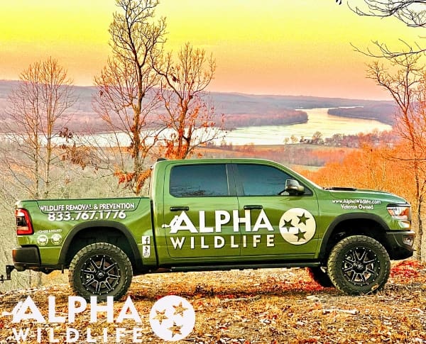 Alpha Wildlife Chattanooga Truck