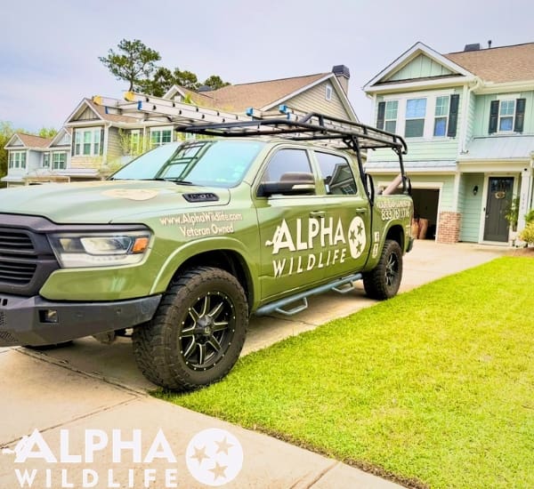 Alpha Wildlife Charleston Truck