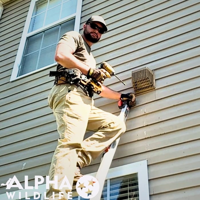 Alpha Wildlife installing humane bird deterrents on Nashville home