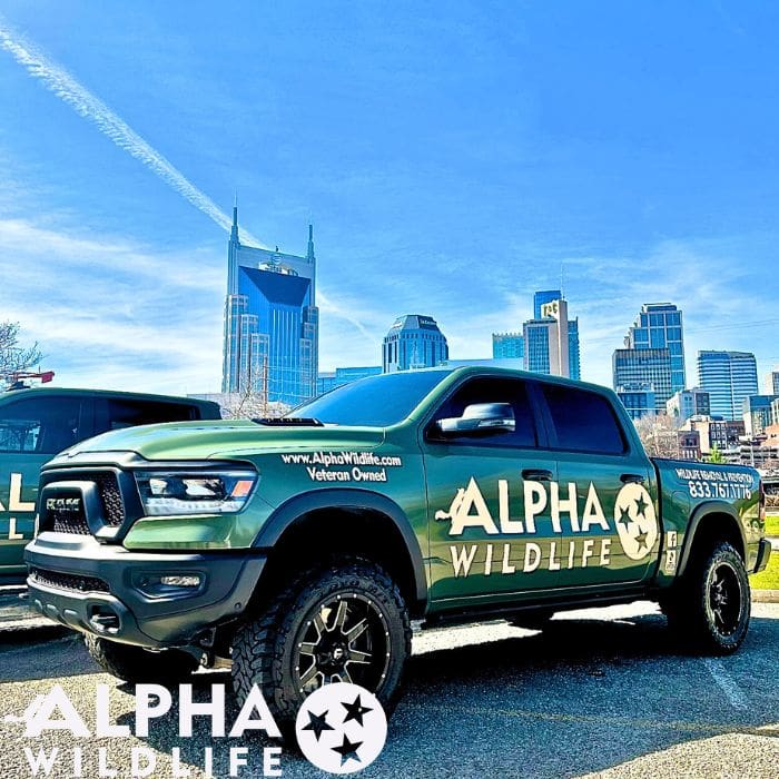 Alpha Wildlife truck