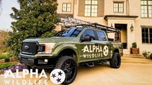Alpha Wildlife at a house in Germantown TN